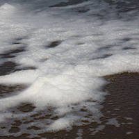 2007-05-05.jpg