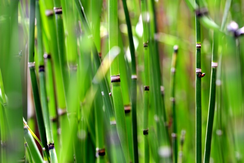 2009_04_29.jpg