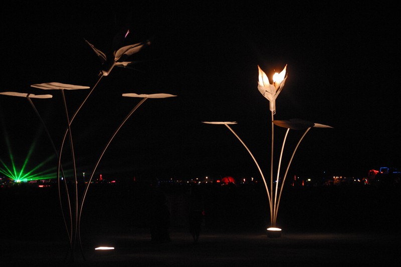 Fire Flowers