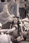 CRW_2764C.jpg