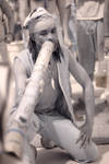 CRW_2767C.jpg