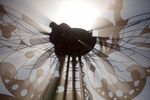 Highlight for Album: Burning Man 2009