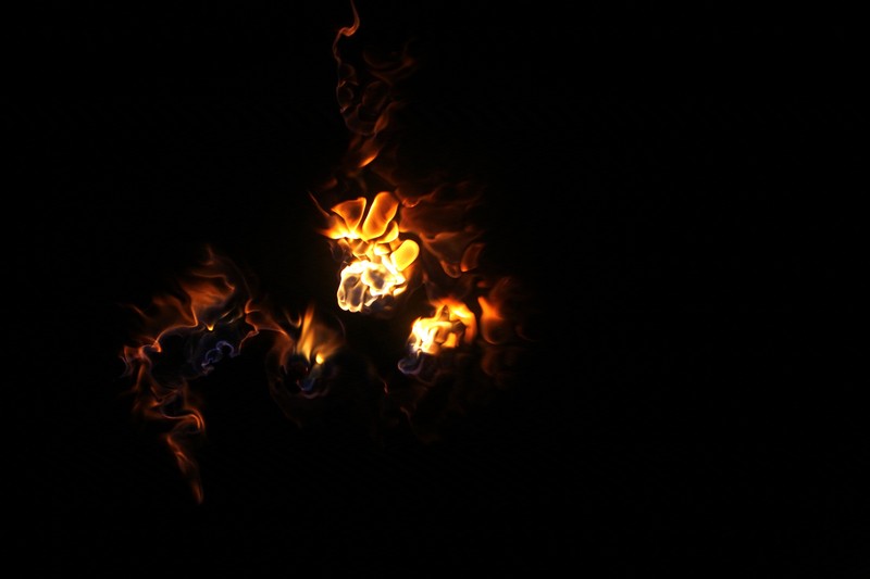 IMG_4370C.jpg
