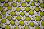 IMG_9791C.jpg