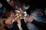 Highlight for Album: Cupcake Camp 2