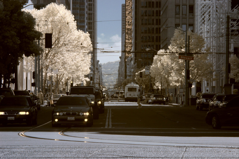 CRW_2045C.jpg