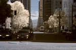 CRW_2045C.jpg