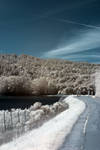 CRW_2899C.jpg
