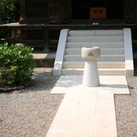 _MG_9524C.jpg