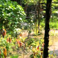 _MG_9571C.jpg
