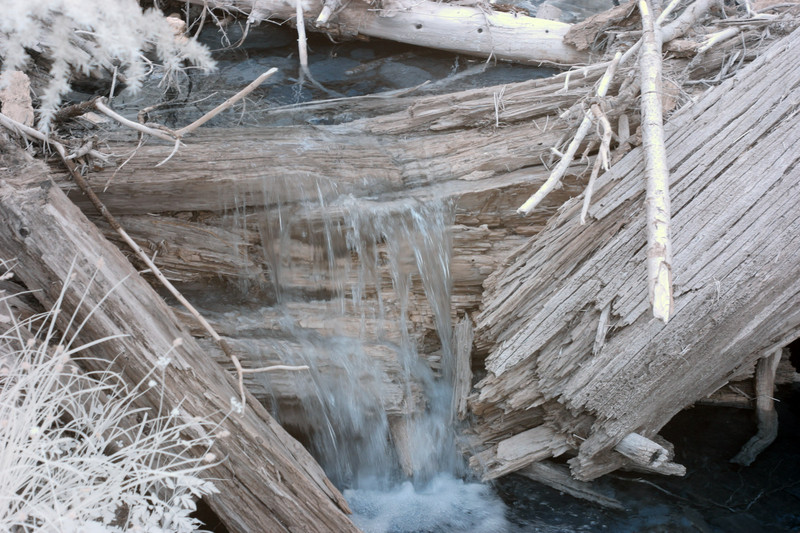 CRW_2479C.jpg