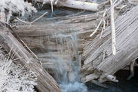CRW_2479C.jpg