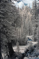 CRW_2520C.jpg
