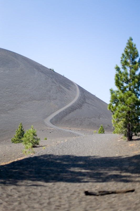_MG_2435.jpg