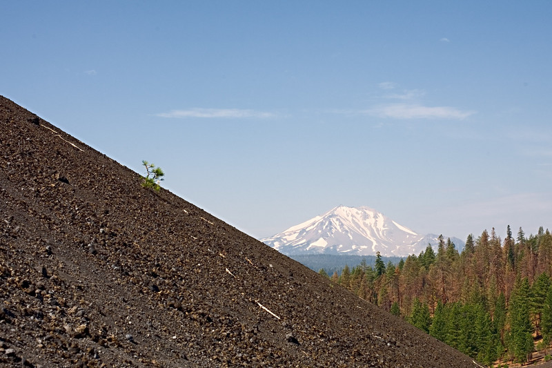 _MG_2441.jpg