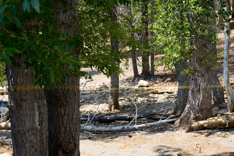 _MG_2520.jpg