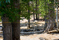 _MG_2520.jpg