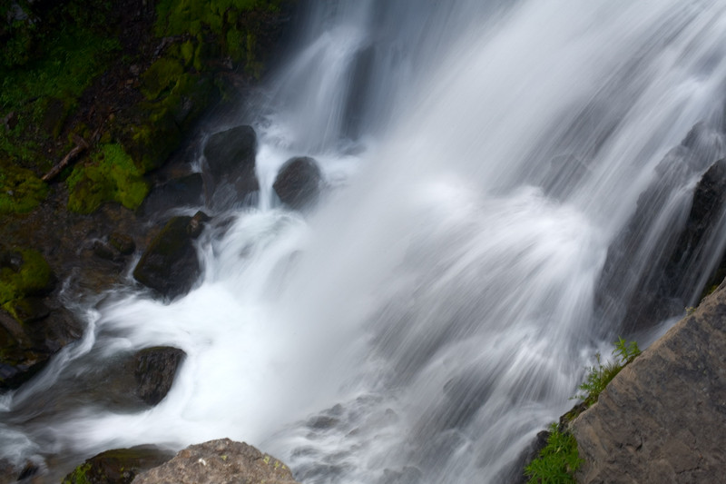 _MG_2574.jpg