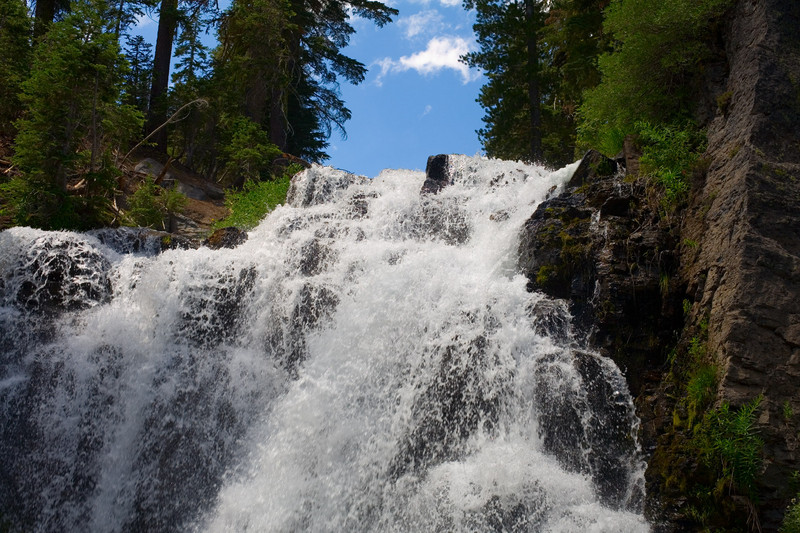 _MG_2603.jpg