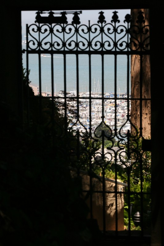 IMG_9919C.jpg