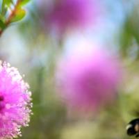 IMG_9986C.jpg