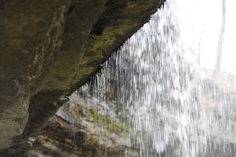 _MG_4978.jpg