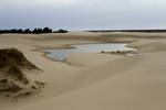 curvy-oasis.jpg