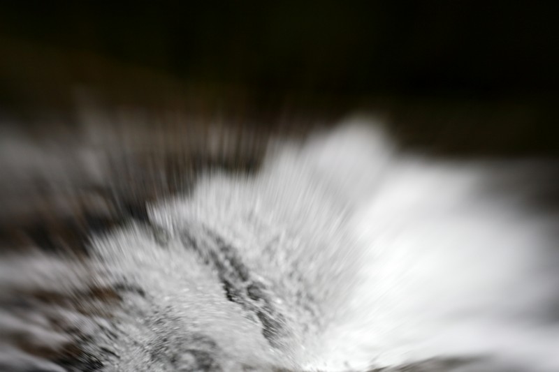 splash.jpg