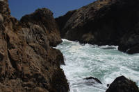 Highlight for Album: Point Reyes
