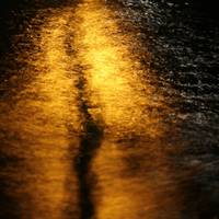 _MG_8367C.jpg
