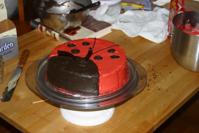 A birfday cake for Mary, who likes ladybugs