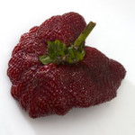 Giant mutant strawberry