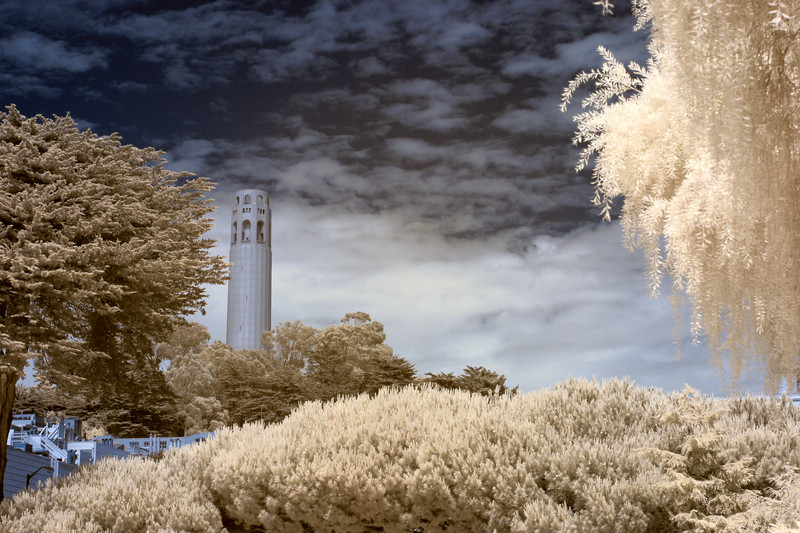 CRW_2145C.jpg