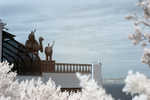 CRW_2151C.jpg