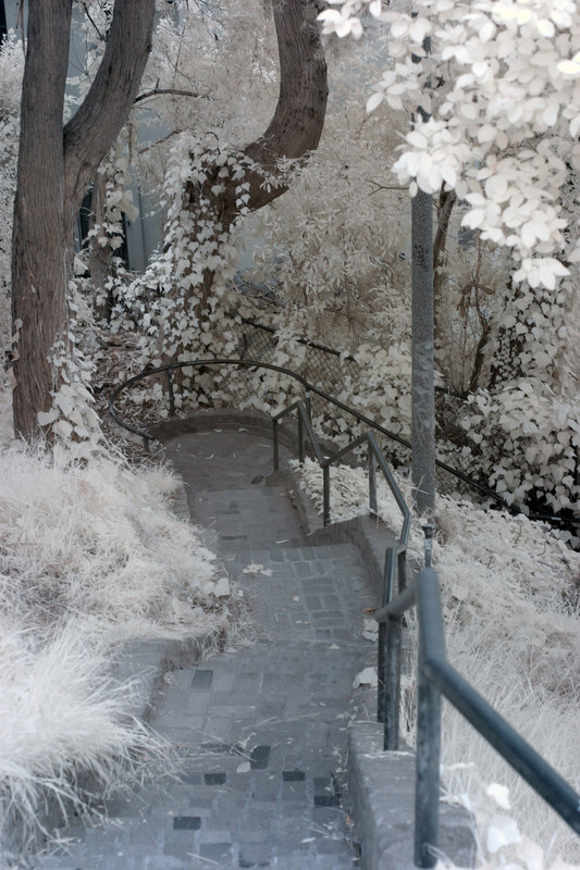 CRW_2165C.jpg