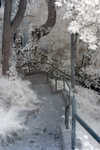 CRW_2165C.jpg