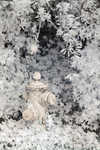 CRW_2171C.jpg