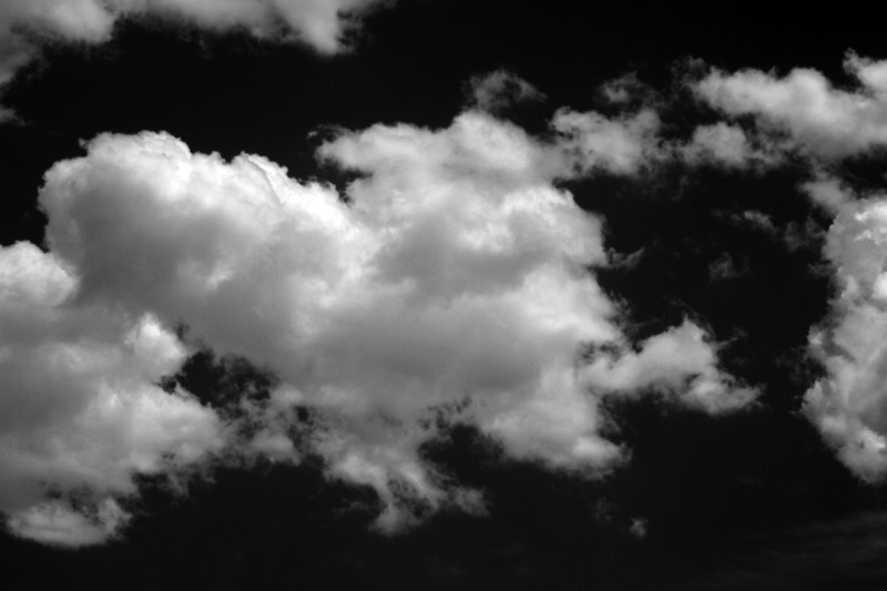CRW_2346C.jpg