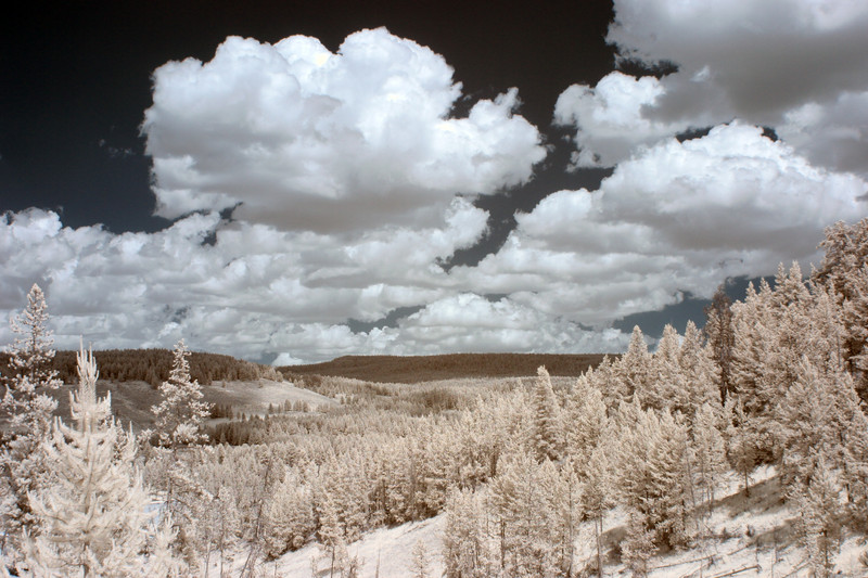 CRW_2367C.jpg