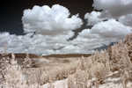 CRW_2367C.jpg