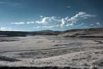 CRW_2380C.jpg