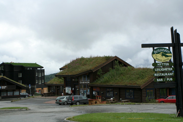 Grass Growing on the Bank Roof.jpg