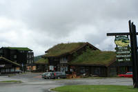 Grass Growing on the Bank Roof.jpg