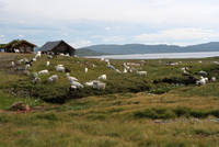 IMG_4603.jpg