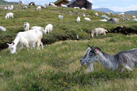 IMG_4607.jpg
