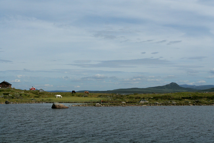 IMG_4620.jpg