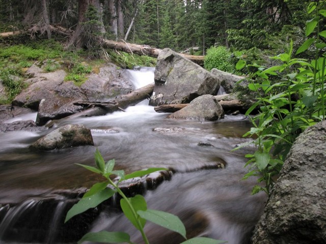 DSCN0133.JPG