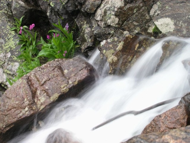 DSCN0137.JPG