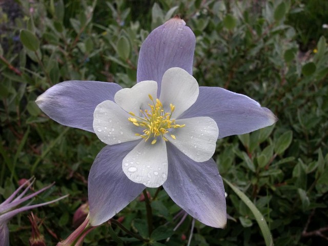 DSCN0143.JPG