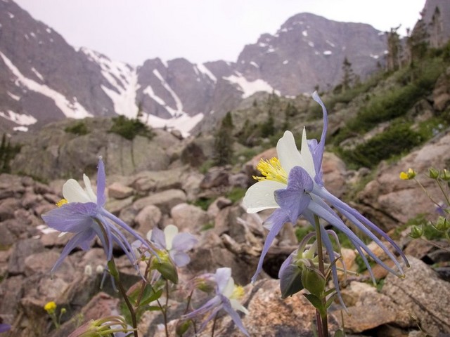 DSCN0149.jpg